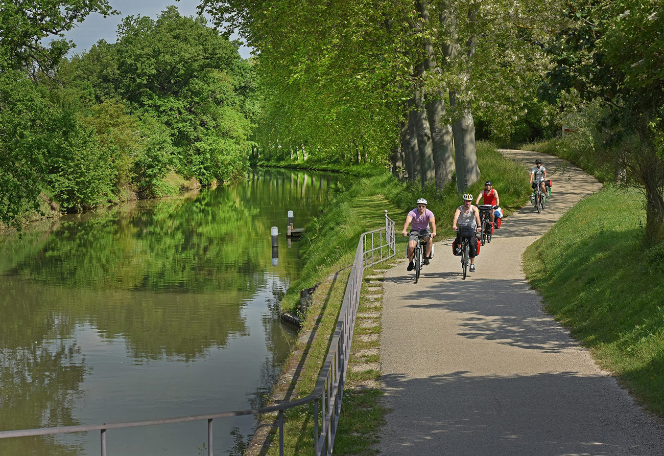 Visiter Toulouse en vélo : une aventure écologique à travers la ville rose